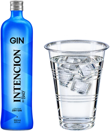 Gin Intencion